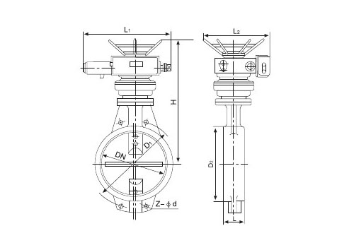 D973H